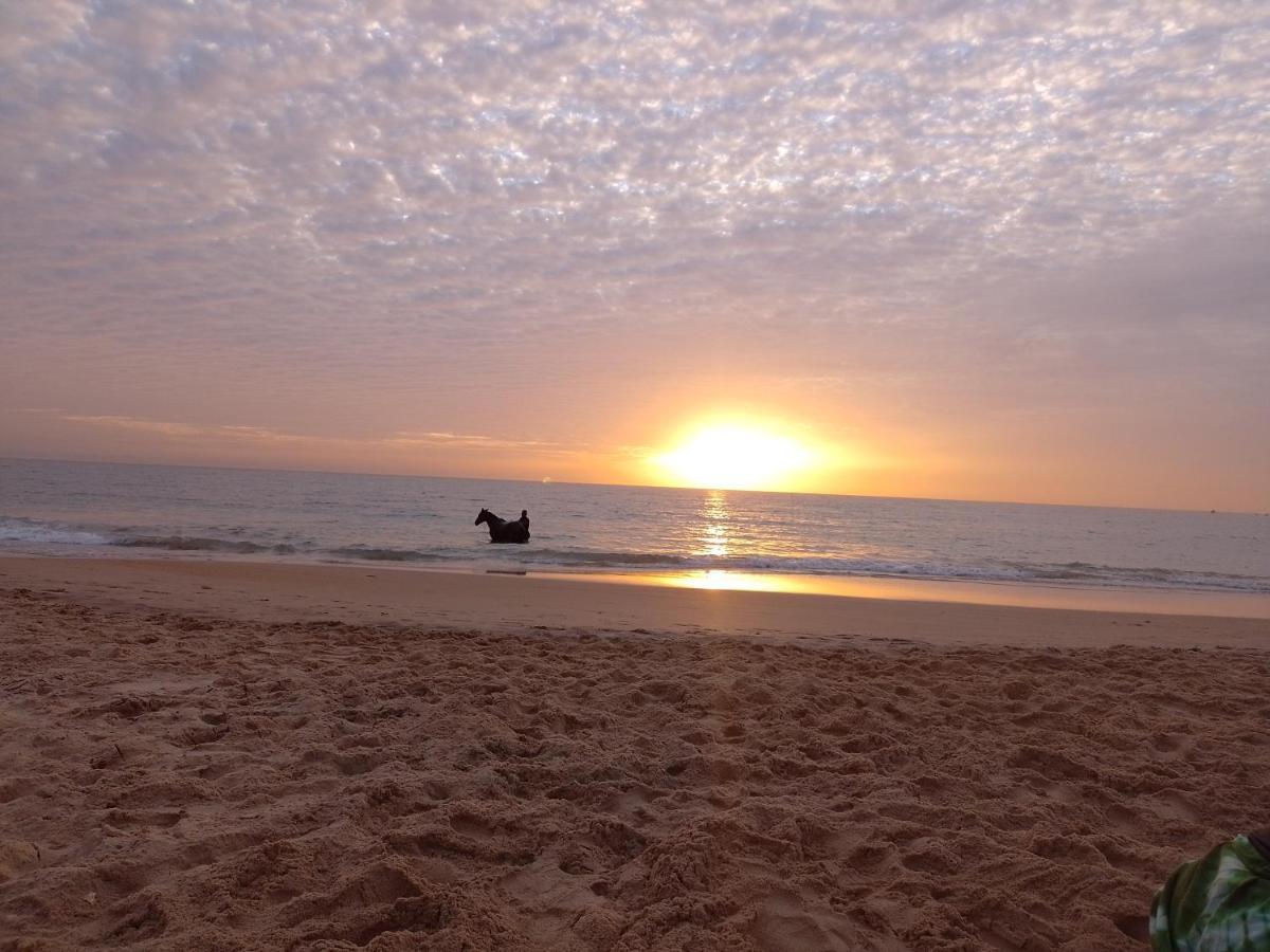 Paradisplage, 1 Minute De La Mer Saly Portudal Exteriör bild
